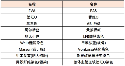 特殊染色.png