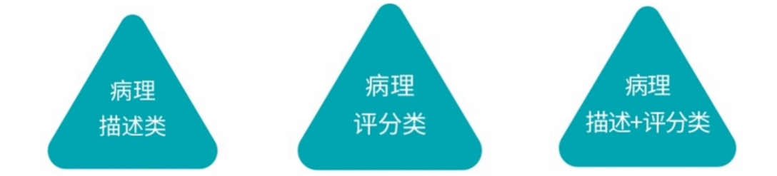 评分.png